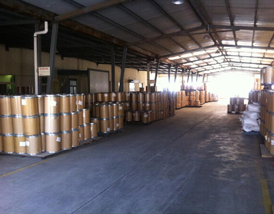 91视频在线成人